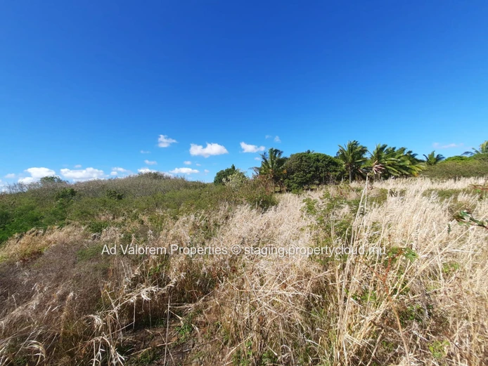 Terrain de 1.25 arpent à vendre dans le vieux St Antoine
