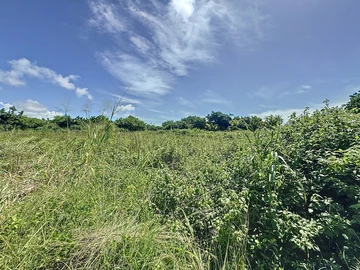Terrain