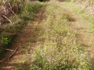 Terrain Agricole