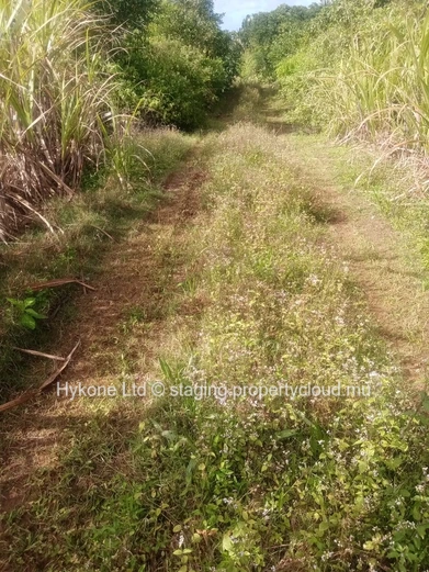 Terrain Agricole En Vente À Beau Climat