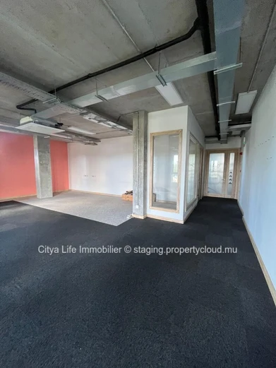 Spacious 160m² Office for Rent in Pointe aux Canonniers