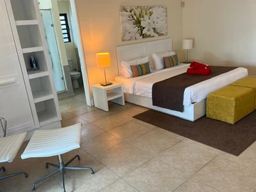 3 Bedroom Penthouse