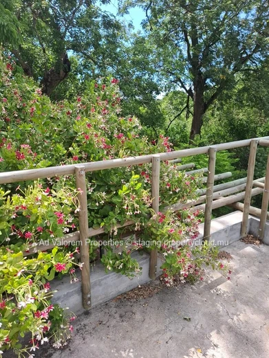 House for sale in Black River-A Haven of Peace.