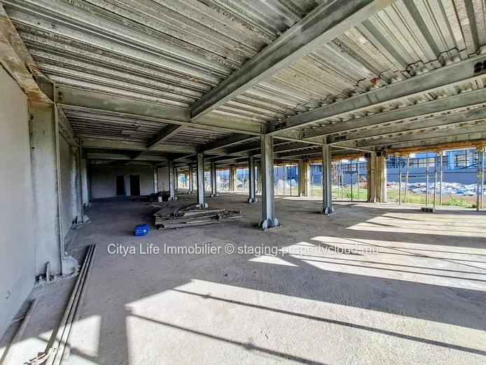 Spacious Commercial Building for Rent in The Vale Area - 1600m² Living Space - Only Rs 600,000 + VAT!