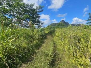 Agricultural Land