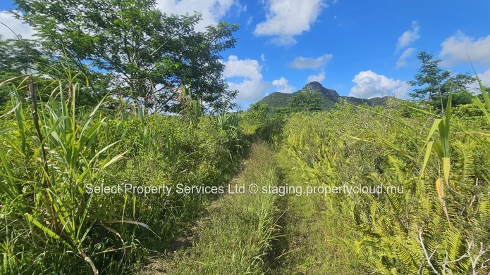 Agricultural Land for Sale - Morcellement - Montagne Blanche