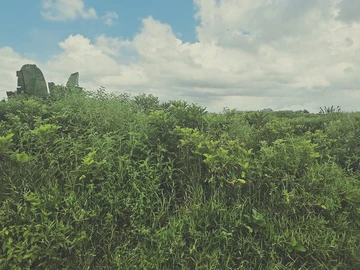 Agricultural Land