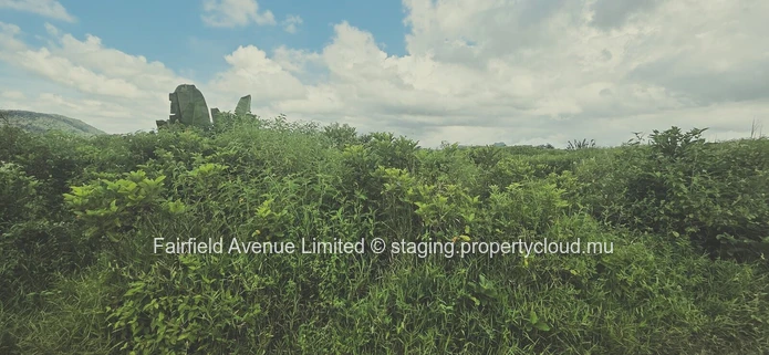 Terrain agricole à vendre de 2 934 m² à Montagne Blanche, vue dégagée