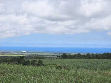 Agricultural Land