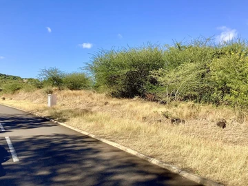 Residential Land