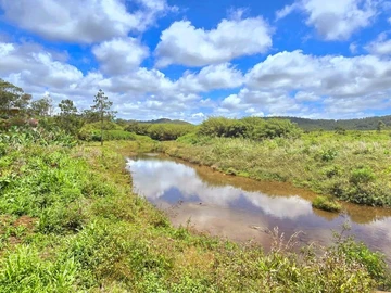 Land