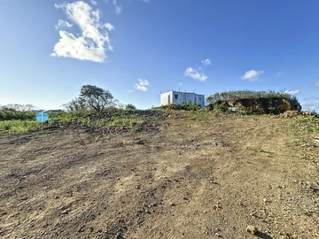 Terrain