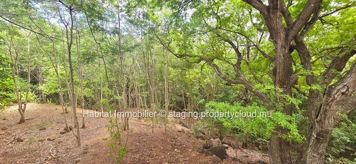 Superbe terrain résidentiel de 871 toises, situé en bordure de rivière dans un lotissement privé à Tamarin