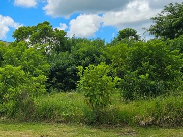 Residential Land