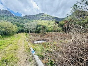 Agricultural Land
