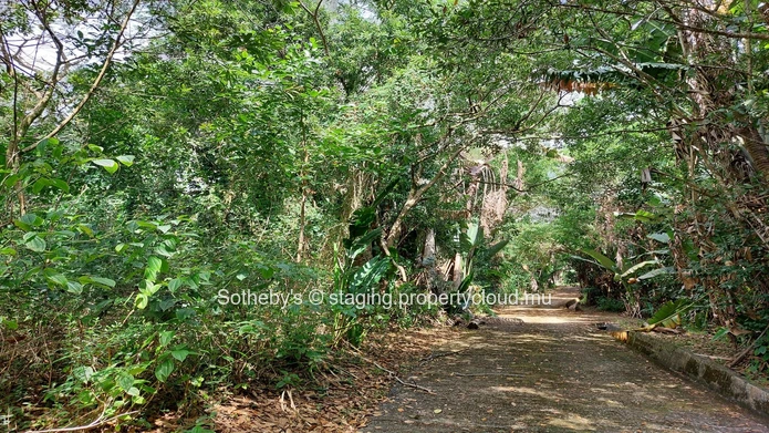Nature Serenity