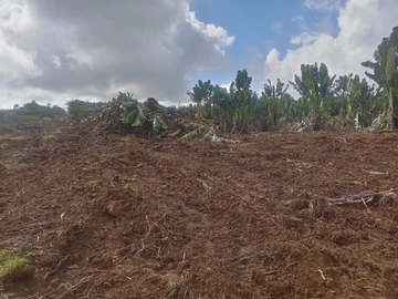 Terrain Agricole
