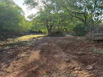 Residential Land