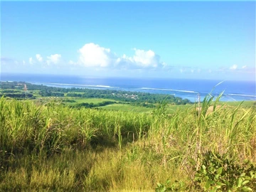 Agricultural Land