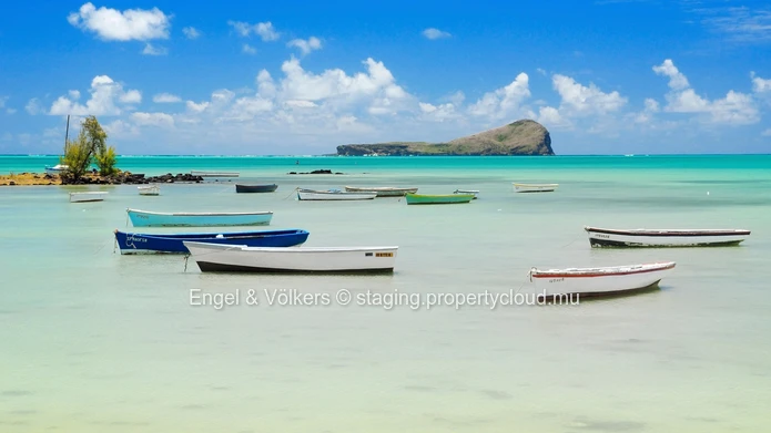 Luxurious Tranquility: Signature Villas