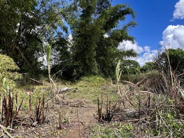Agricultural Land