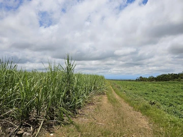 Agricultural Land