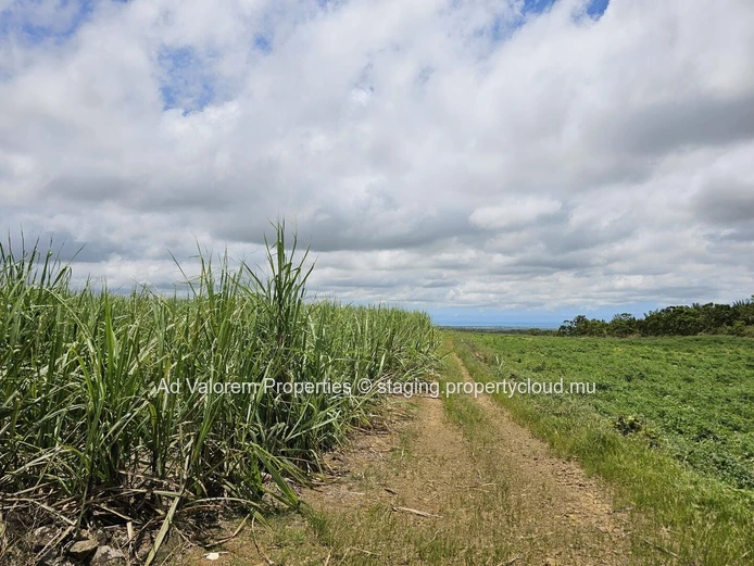 Terrain agricole à vendre à Britannia, Bois Chéri. 14.002m². Prix :