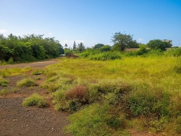 Commercial Land