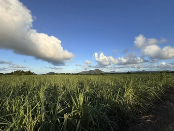 Agricultural Land