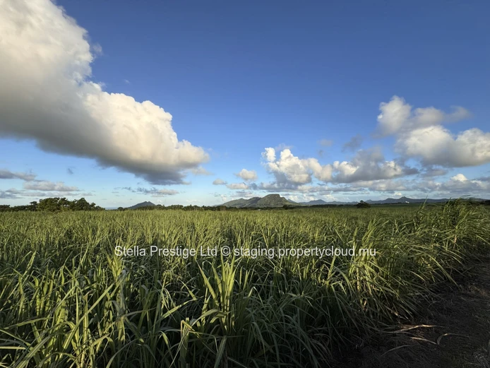 Terrain agricole de 2 110m² à vendre à Mont Ida, Quartier Militaire - Seulement Rs!