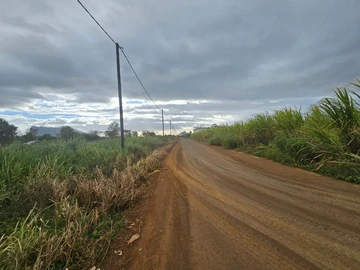 Terrain