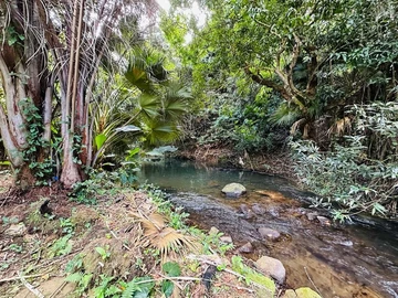 Residential Land
