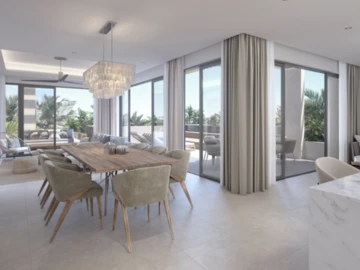 3 Bedroom Penthouse