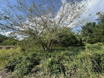 Agricultural Land