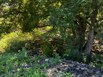 Residential Land