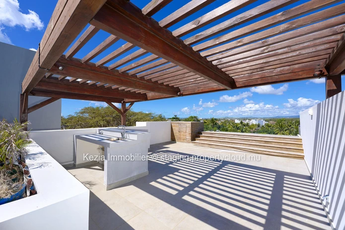 Contemporary Apartment With Rooftop