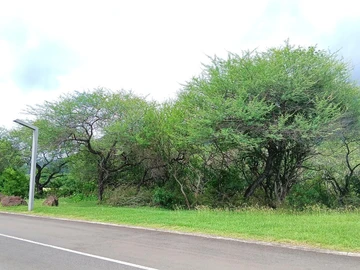 Residential Land