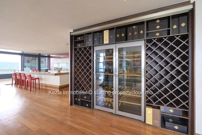 Luxury Penthouse