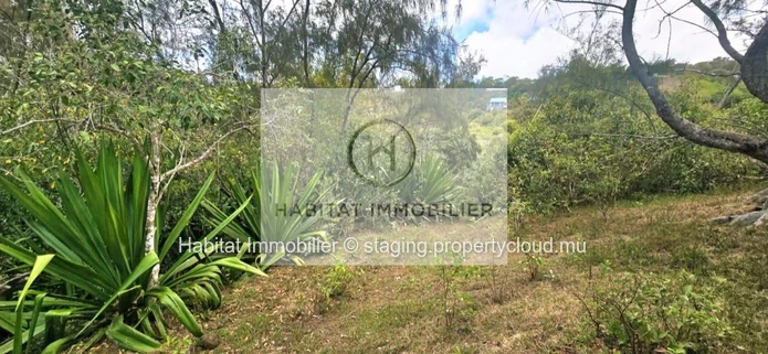 Magnificent plot of land of 772 toises (2,937 m² / 69 perches) located at Trèfles, Rodrigues Island