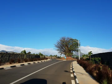 Residential Land