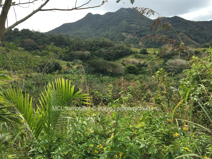 Terrain agricole de 9 arpents 42 perches  à Anse Jonchée