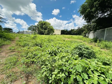 Commercial Land