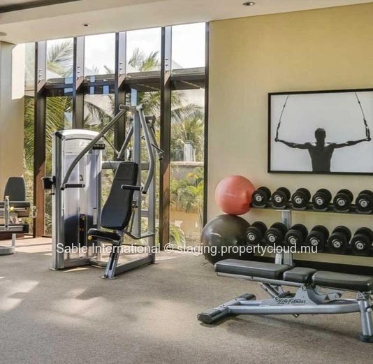 Villa RES à vendre à Beau Champ, 589m² habitable, 2.400m² terrain, 5 chambres, piscine privée, accès mer, salle de gym.