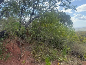 Residential Land