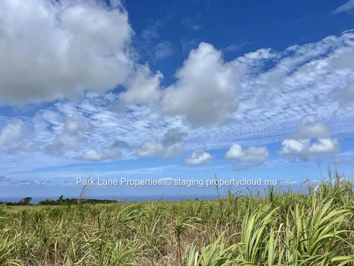 Terrain Agricole à Vendre à Chamouny, Île Maurice – 20,80 Arpents