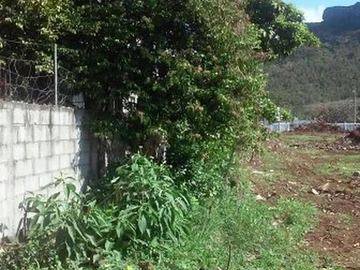 Agricultural Land