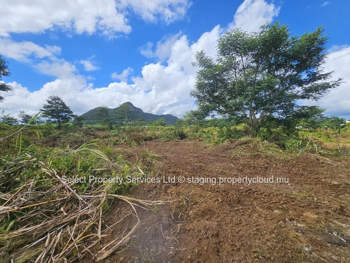 Agricultural Land for Sale - Morcellement - Montagne Blanche