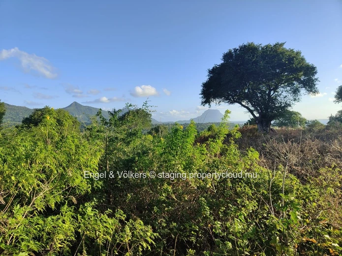 MAURITIAN CITIZENS ONLY | Domaine de Palmyre, Premium residential land, Tamarin / Black River