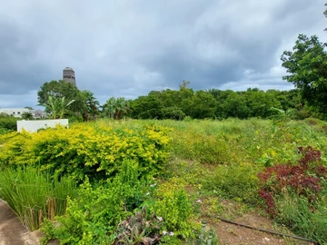 Residential Land