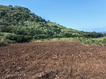 Agricultural Land